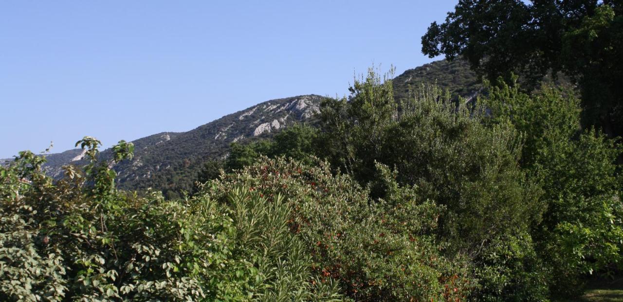 Hestia Bed & Breakfast Robion en Luberon Eksteriør bilde